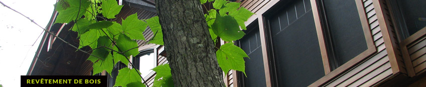Revêtement de bois